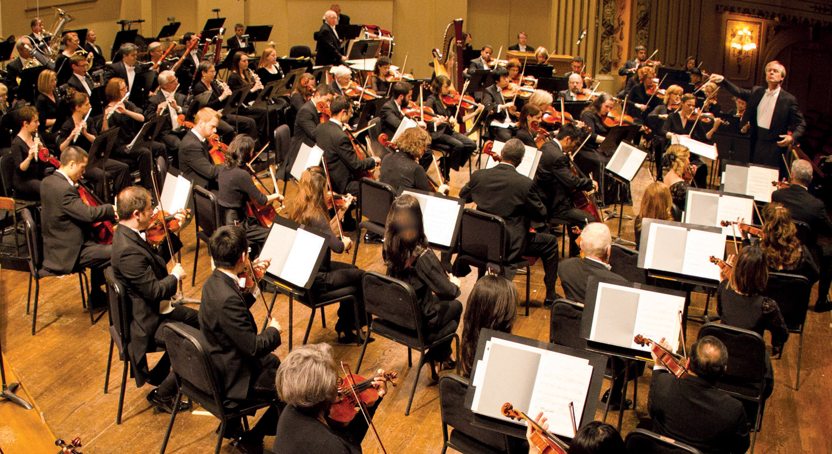 St. Louis Symphony & Chorus | Cathedral Concerts